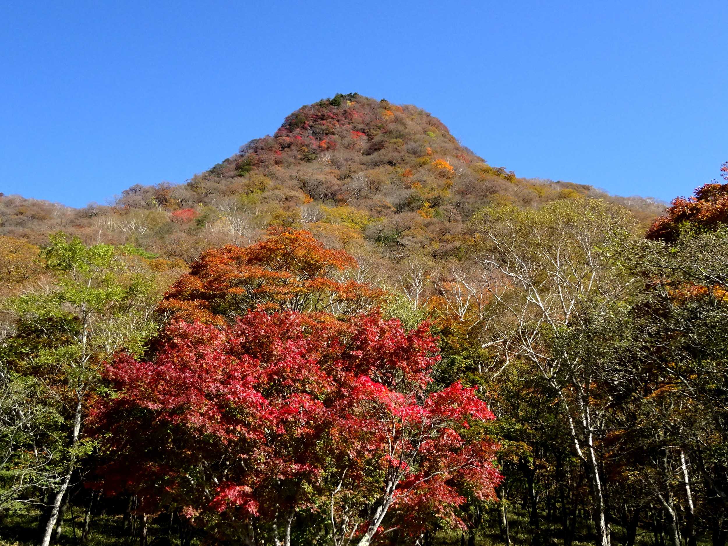 おきばりやす / 山村 紅葉【著】 - 紀伊國屋書店ウェブストア