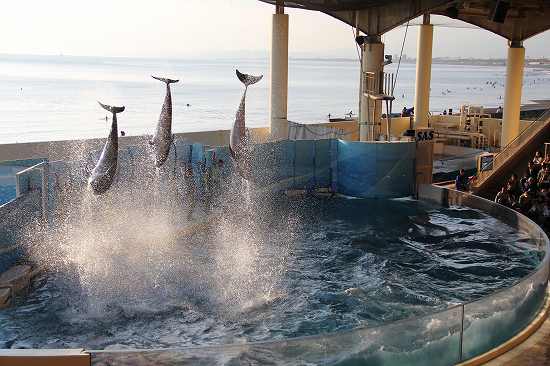 新江ノ島水族館