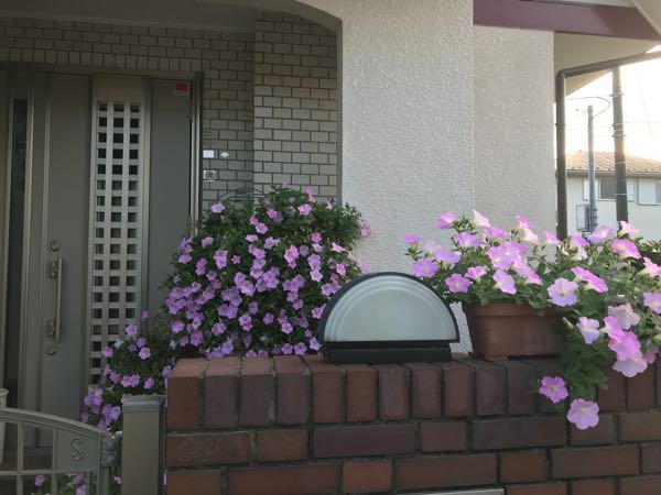 rblog-20180624181305-01.jpg