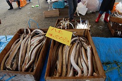 s-DSC_0177.jpg