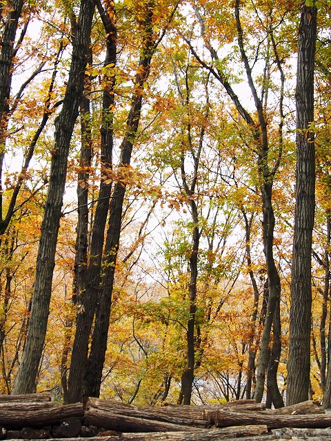 s-p2882.jpg