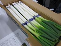 Img_0993 Img_0993