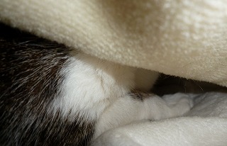 P1170850-ass.jpg