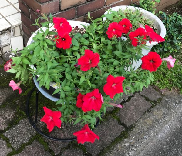 rblog-20180624181305-00.jpg