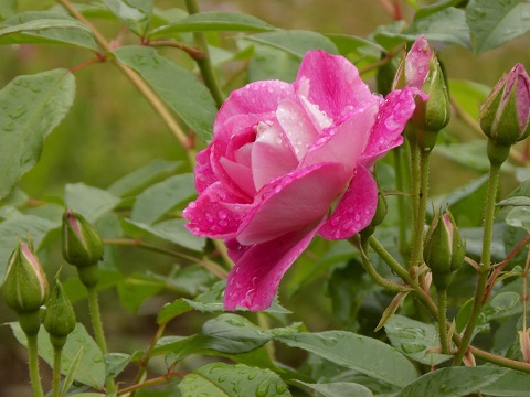 DSCN3164.JPG