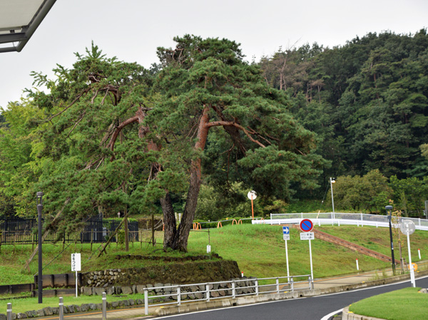 本庄早稲田駅・10