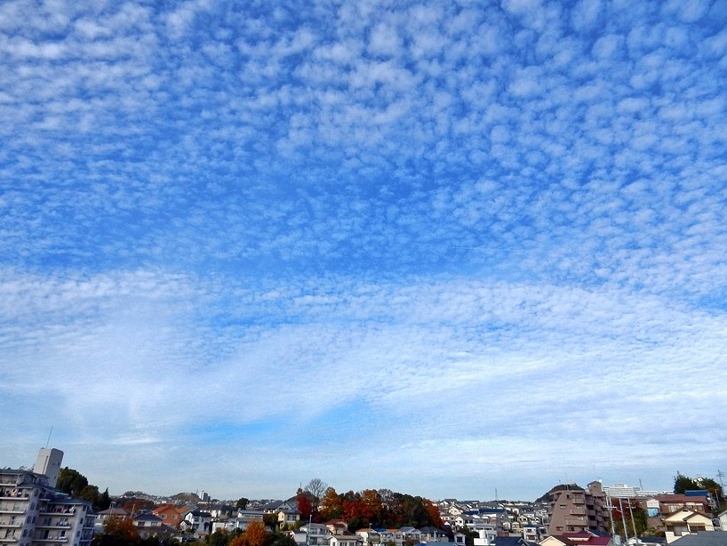 空 5.JPG