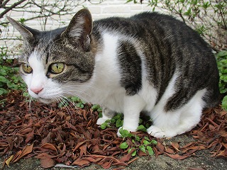 IMG_9753ss.jpg