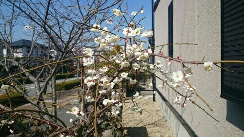 rblog-20180314140229-01.jpg