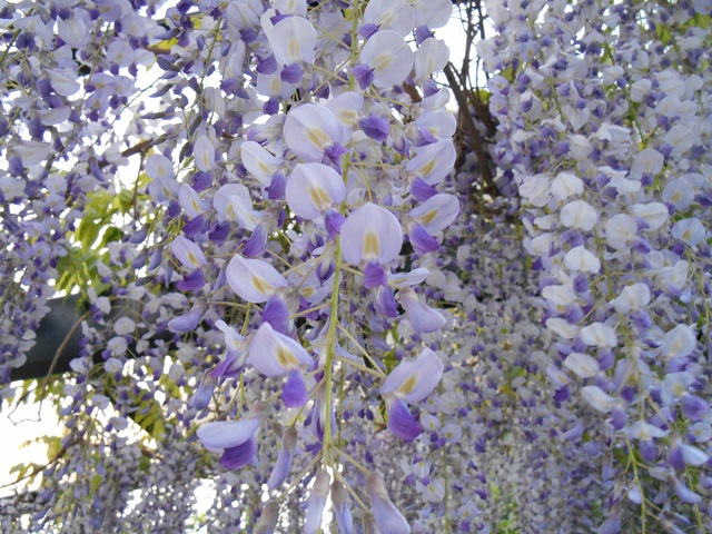 DSCN1646.JPG