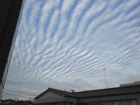DSCN6754.jpg