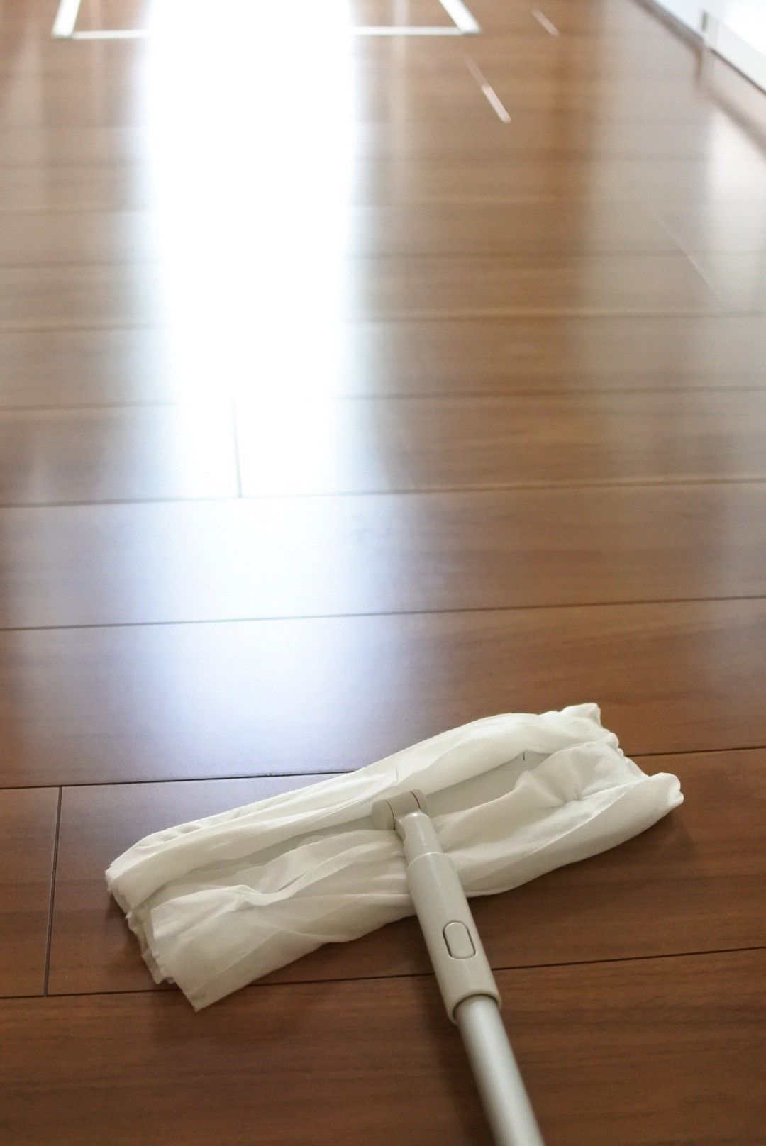 拭き掃除しながら虫除け対策 リビング窓にシェード Happy Life Home 楽天ブログ