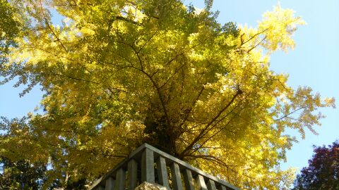 rblog-20141122142724-00.jpg