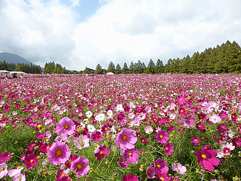 P1250111.jpg