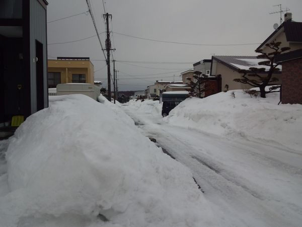 ３／２２の雪１.JPG