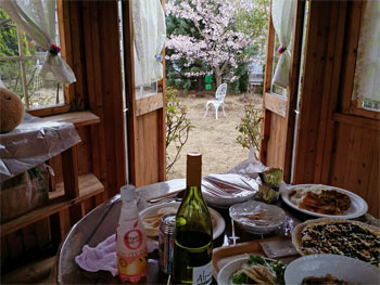 桜23.jpg