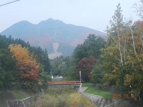 DSCN8408.jpg