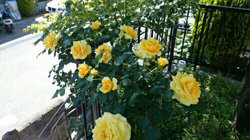 rblog-20170520180014-01.jpg