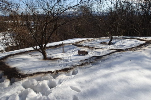 donndenn150118014