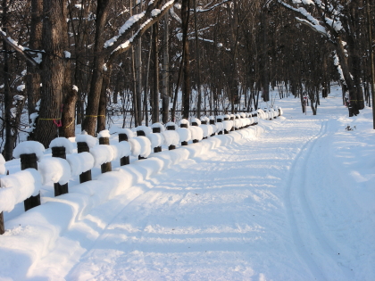 2016-02-06sanro1.JPG