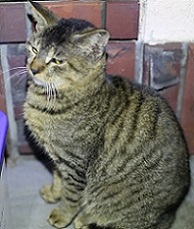 5DA_9390-20.jpg
