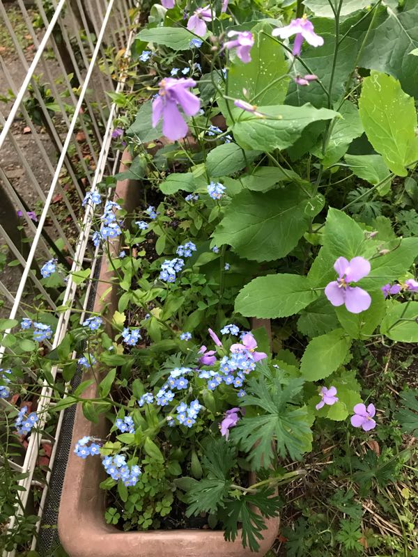 rblog-20190423182540-08.jpg