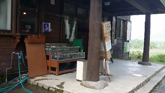 東電小屋