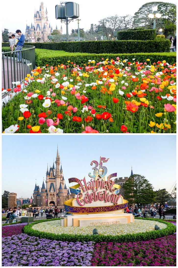 東京ディズニーランド 18年6回目 35周年 ワールドバザール内 プロジェクション マッピング 4 21 18 シニア夫婦のゆる いブログ 楽天ブログ