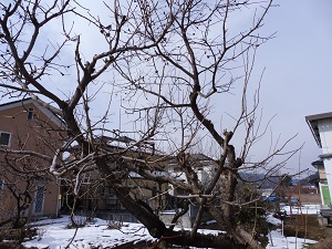 P1000102.JPG