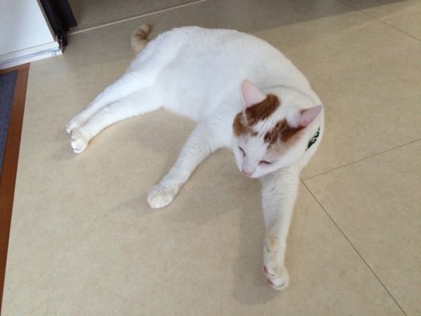 rblog-20150818063153-04.jpg