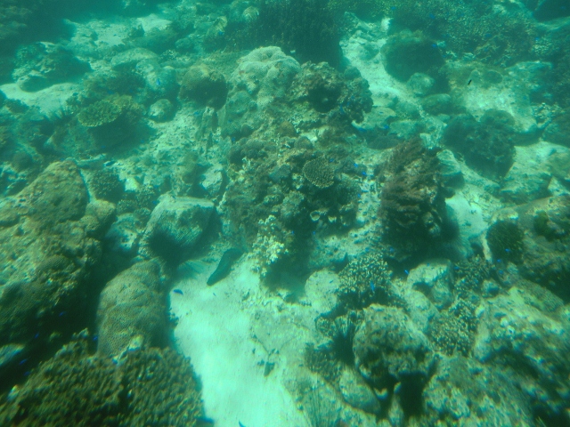 079 (640x480).jpg