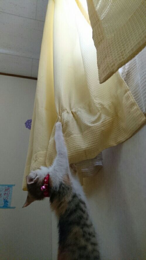 rblog-20170711163536-01.jpg