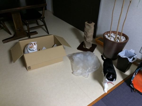 rblog-20150610055612-03.jpg
