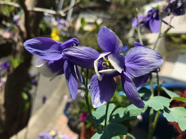 rblog-20180409192833-04.jpg
