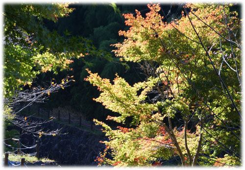 okunoyu20151026-2.jpg