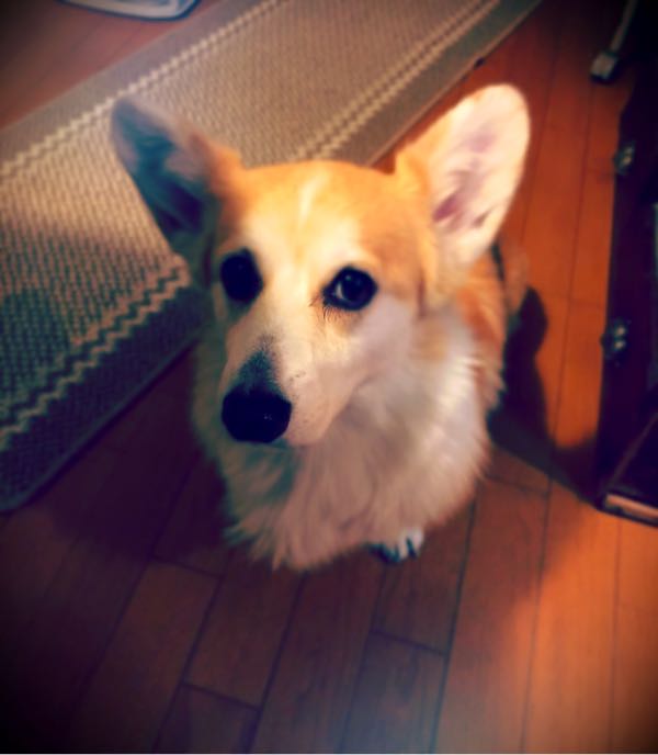 rblog-20180102202416-01.jpg