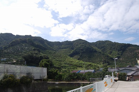 s-DSC_0432.jpg