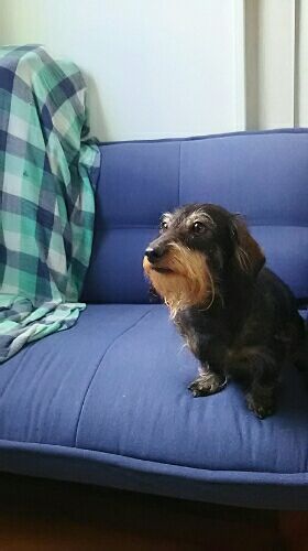 rblog-20181031002934-02.jpg