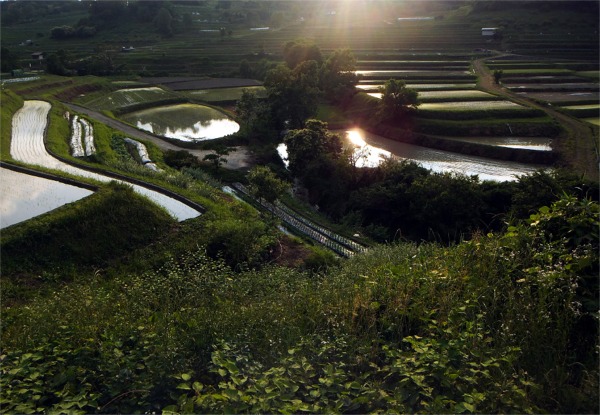 DSCF0330.JPG