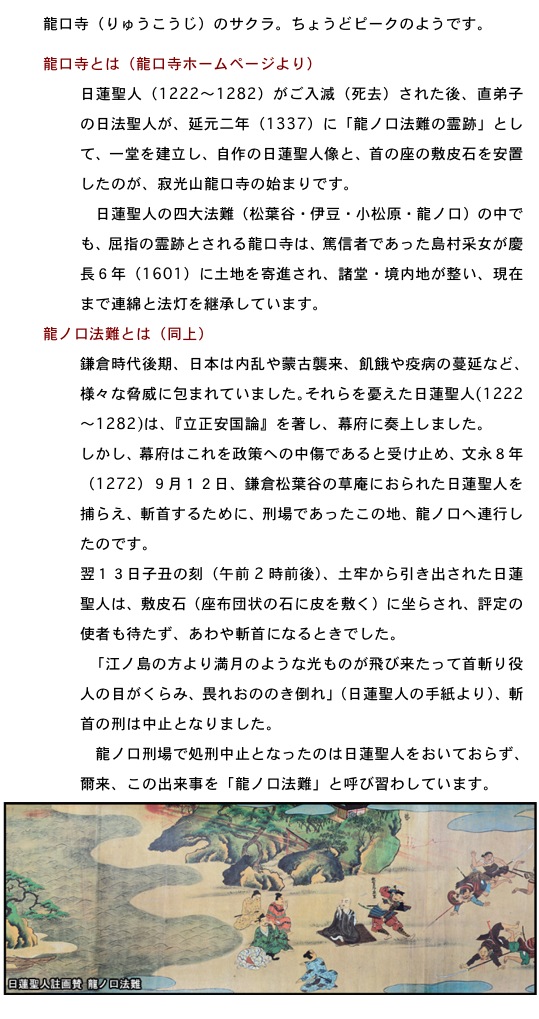 2012.04.14-4.jpg