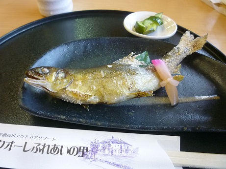 P1070114.JPG
