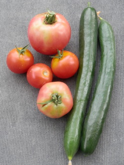 我が家の野菜たち　7.18　2013