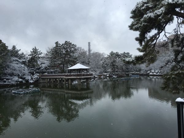 rblog-20170119093956-01.jpg