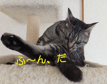 20121206_3.jpg
