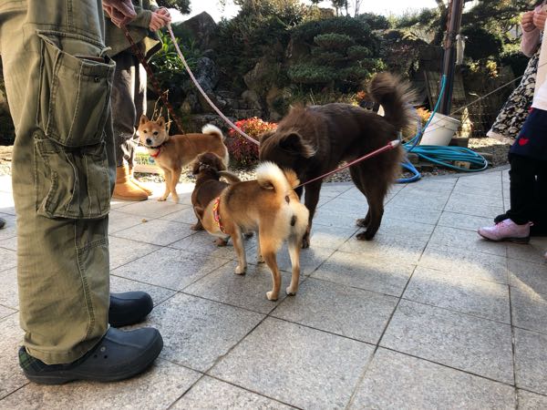 rblog-20190102144530-05.jpg