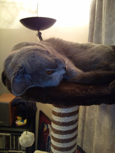 2014012402.JPG
