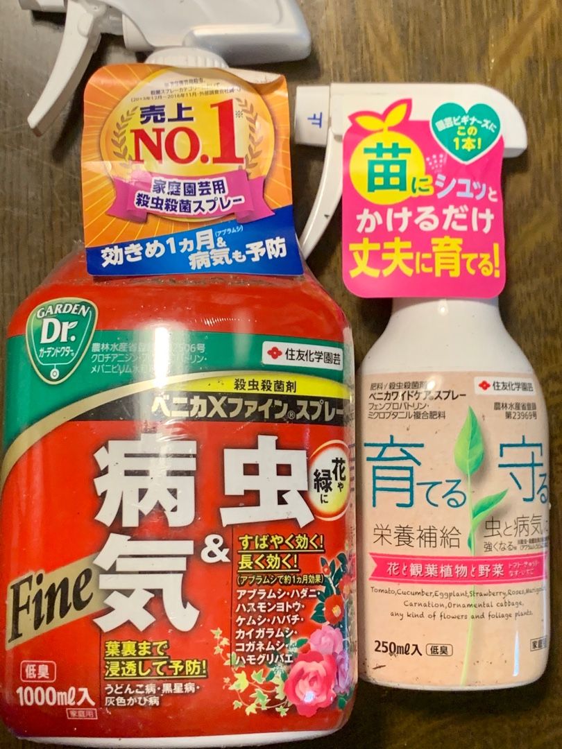 整形外科から帰って うちの花の消毒などのスプレー バラも黒星病 ナメクジ駆除剤も撒きました Music Land 私の庭の花たち 楽天ブログ