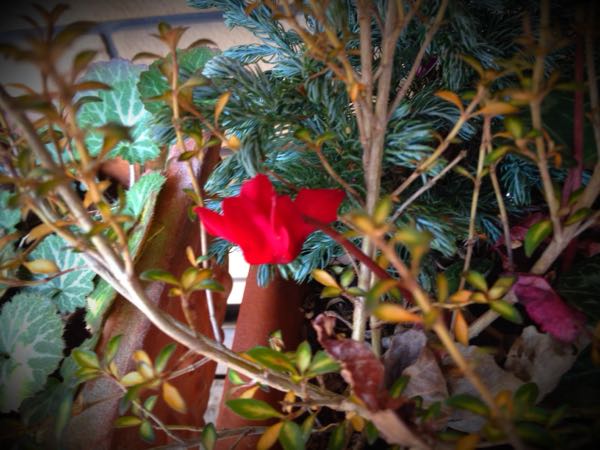 rblog-20141231140130-00.jpg