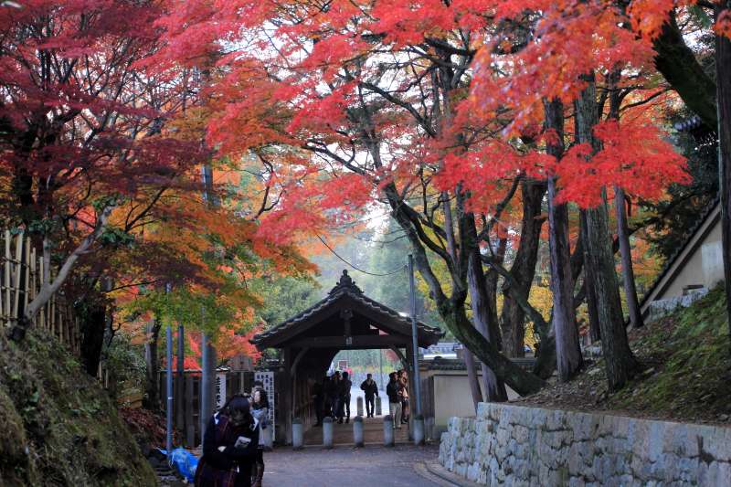 東福寺_007.jpg