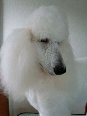 rblog-20131015171905-01.png